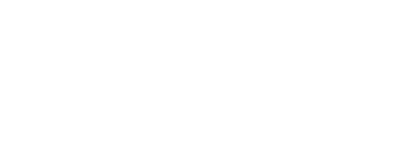 McCormick County Chamber of Commerce logo - white